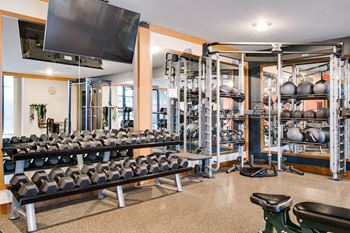 Free weights